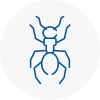 Ant Removals In Northumberland