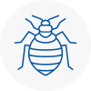 Bed Bug Extermination In Northumberland