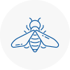 Bee Nest Removal Northumberland