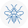 Northumberland Hornet Nest Removals