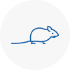 Mice Exterminators In Northumberland