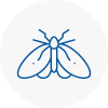 Moth Control Specialists In Northumberland