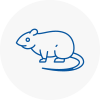 Rat Control Northumberland