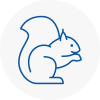 Northumberland Rodent Removals